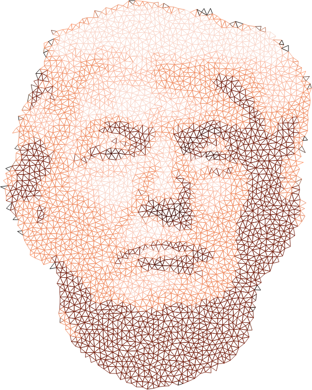 Low Poly Trump Head Wireframe No Background