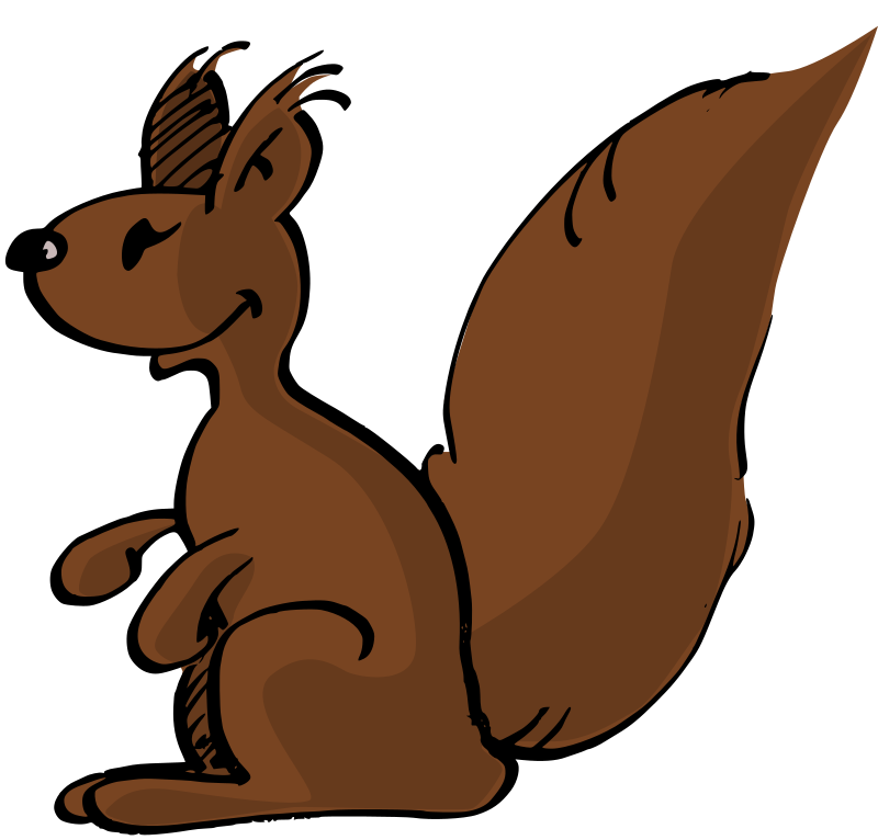 Squirrel