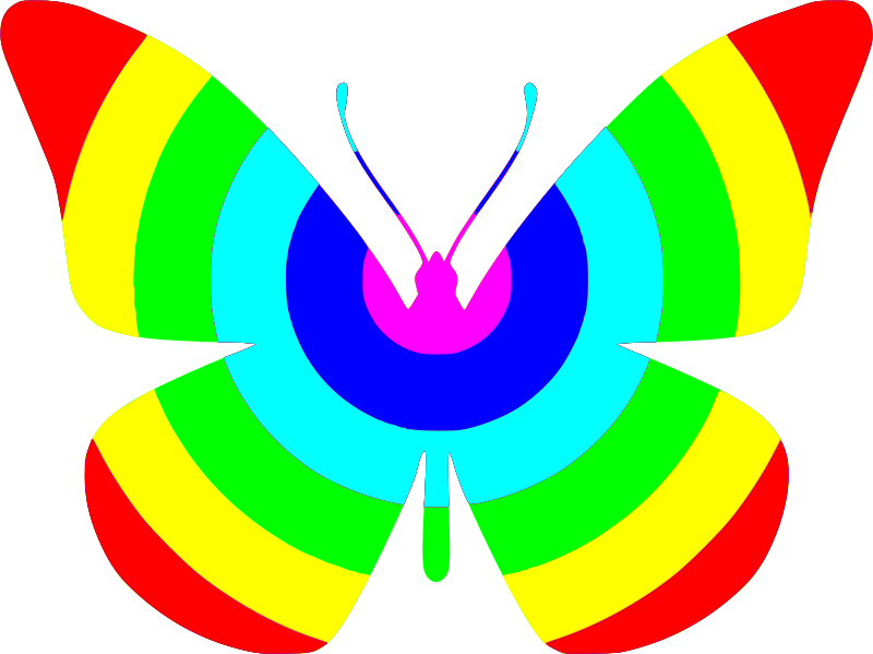 Butterfly with saturated rainbow colors