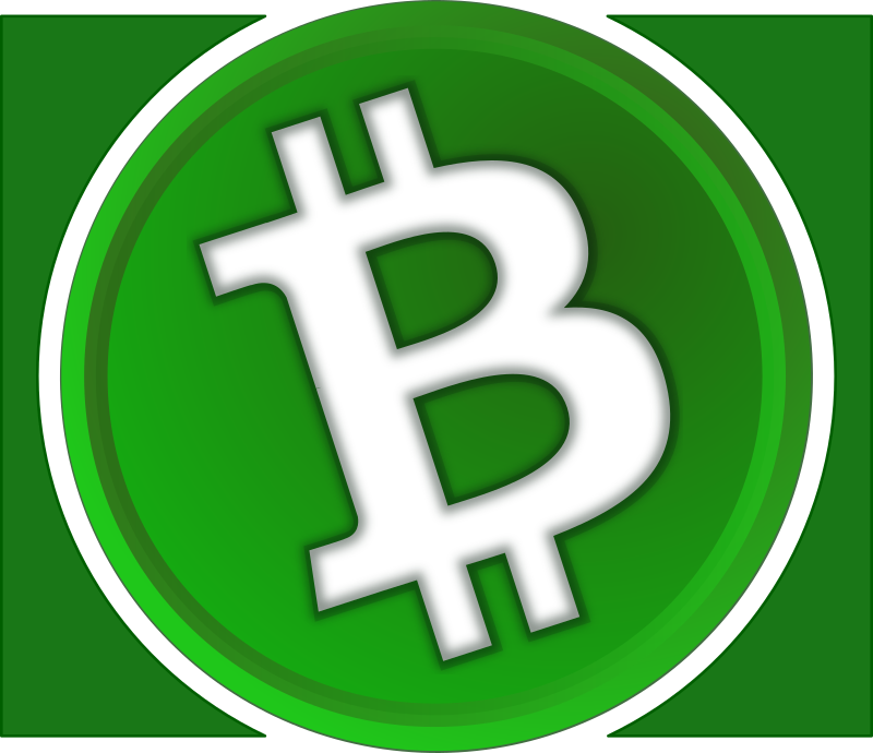 Bitcoin Cash Icon