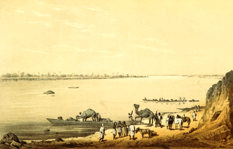 African scene 7 - The Niger at Say