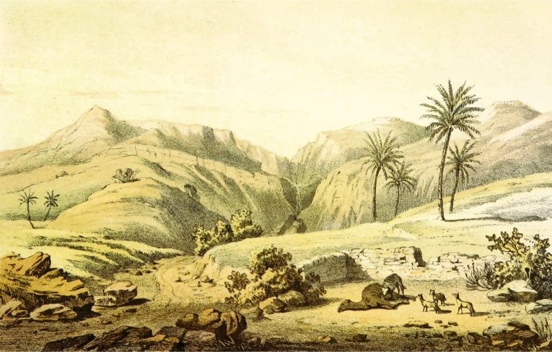 African scene 45 - Wadi Welad Ali