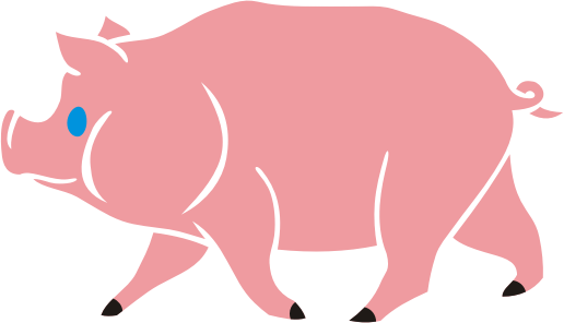 Pig