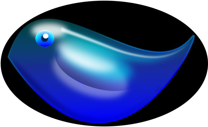 Blue Bird of Happiness