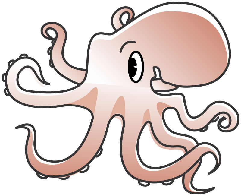 Octopus