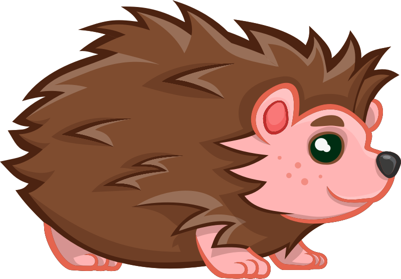 Baby Hedgehog 