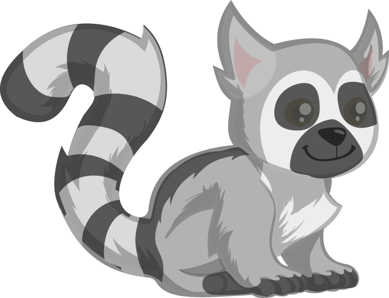 Ring-tailed Lemur