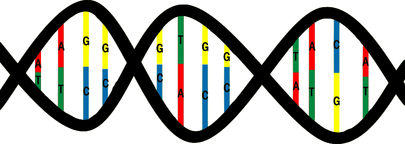 DNA Piece