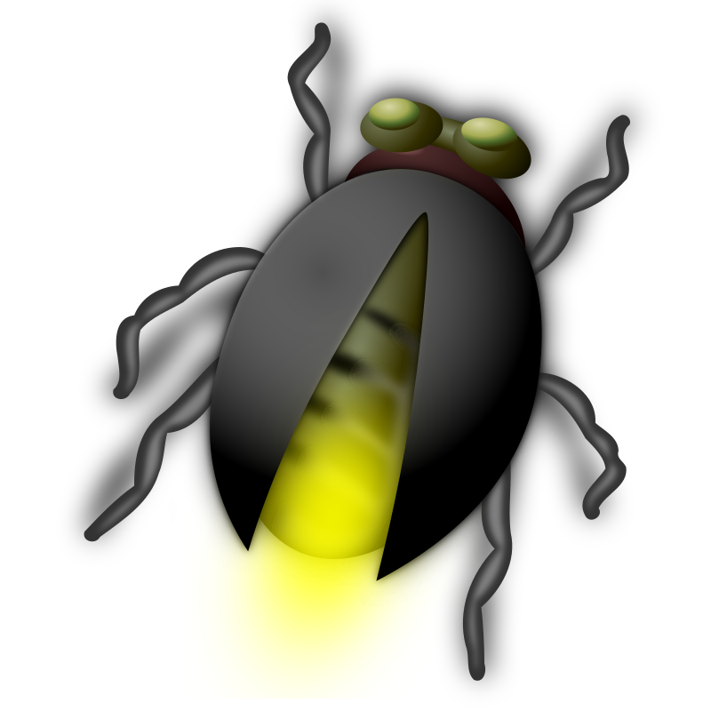 Lightning Bug Buddy