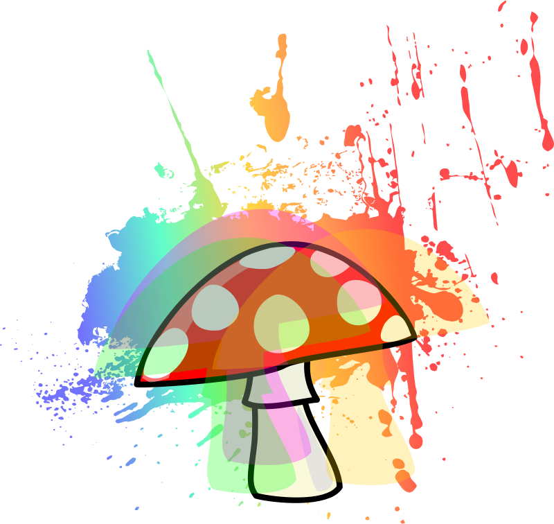 Psychedelic Mushroom