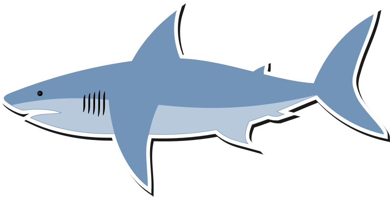 Cartoon shark