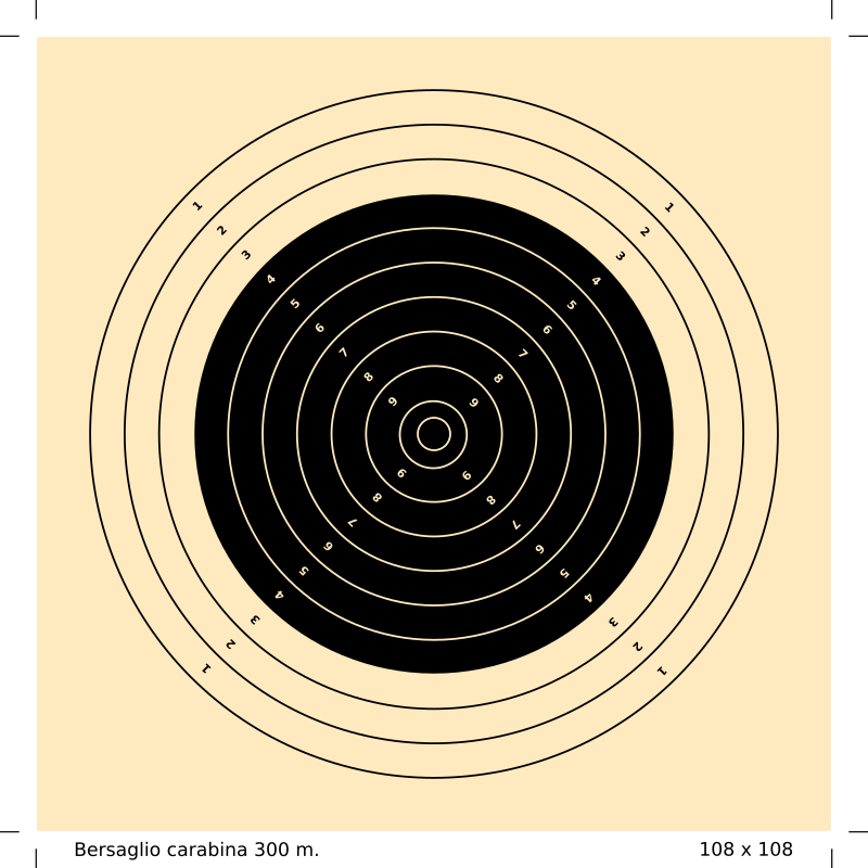 Bersaglio carabina 300m