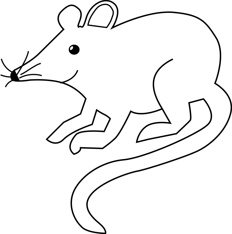 Mouse