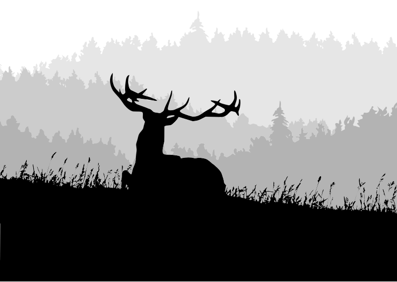 Deer Landscape