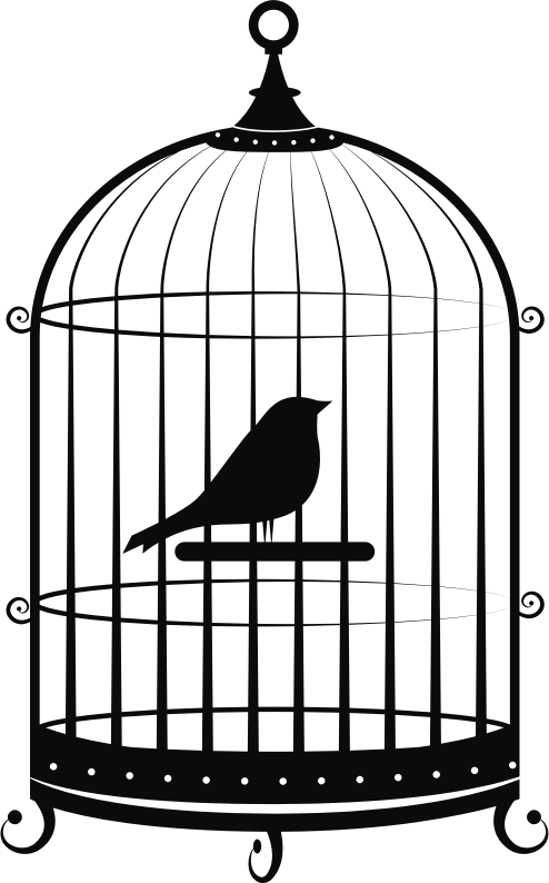 Bird in cage