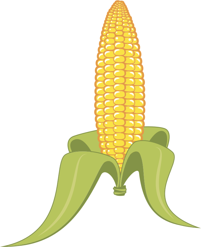 Corn #1