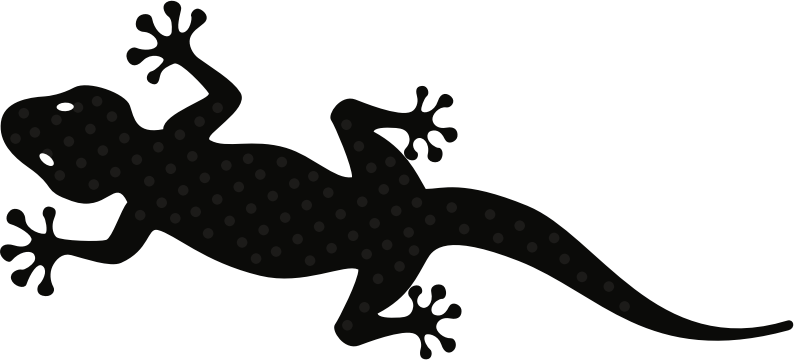 Gecko (#1)