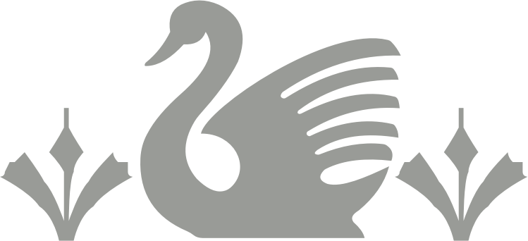 Swan – Schwan