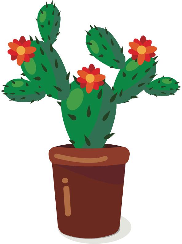 Cactus