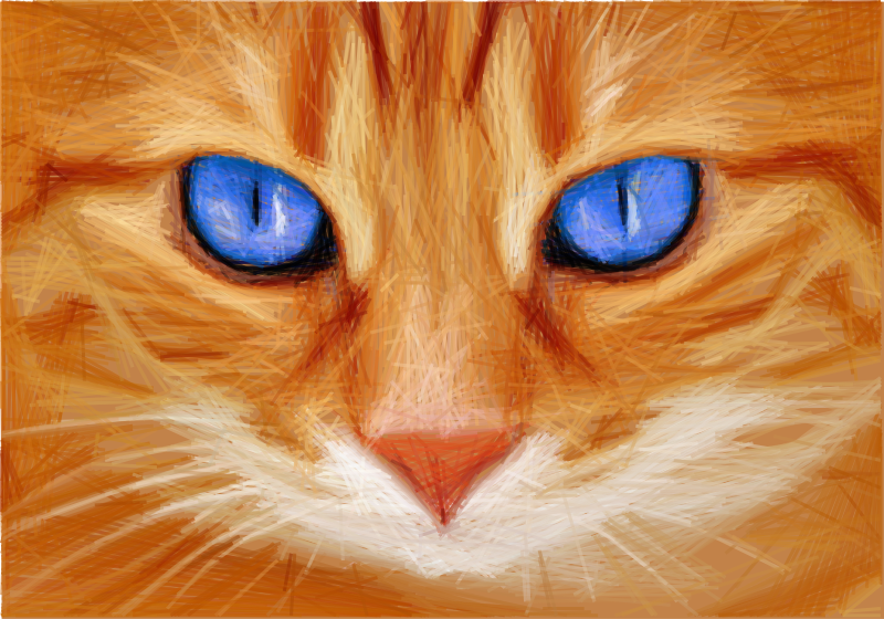 Blue Eyed Cat