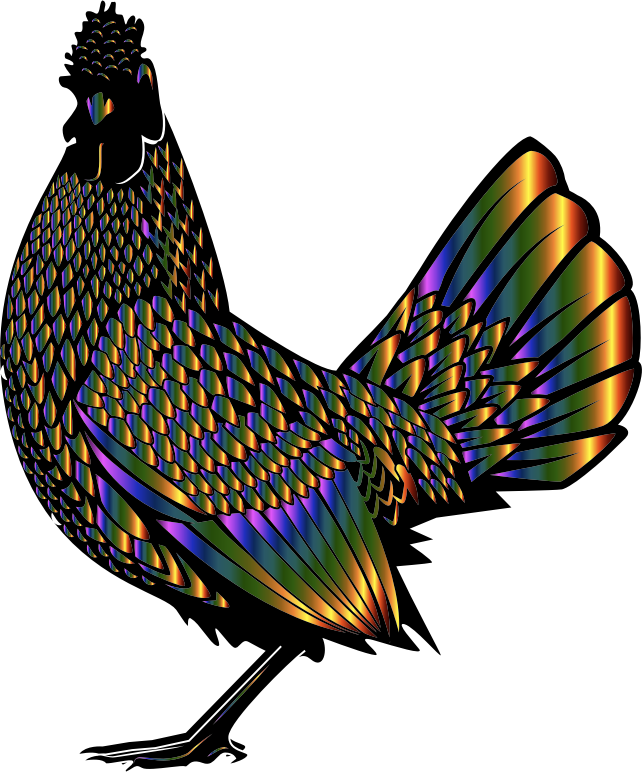 Chromatic Rooster