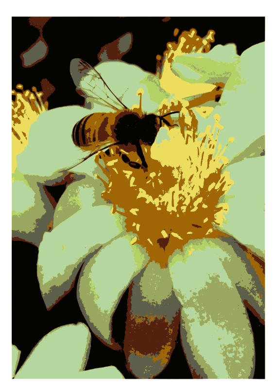 Abeja