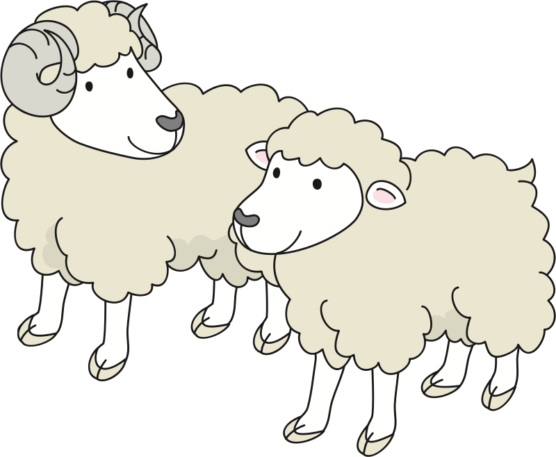 Sheep (#1)