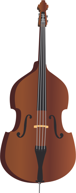 Double Bass