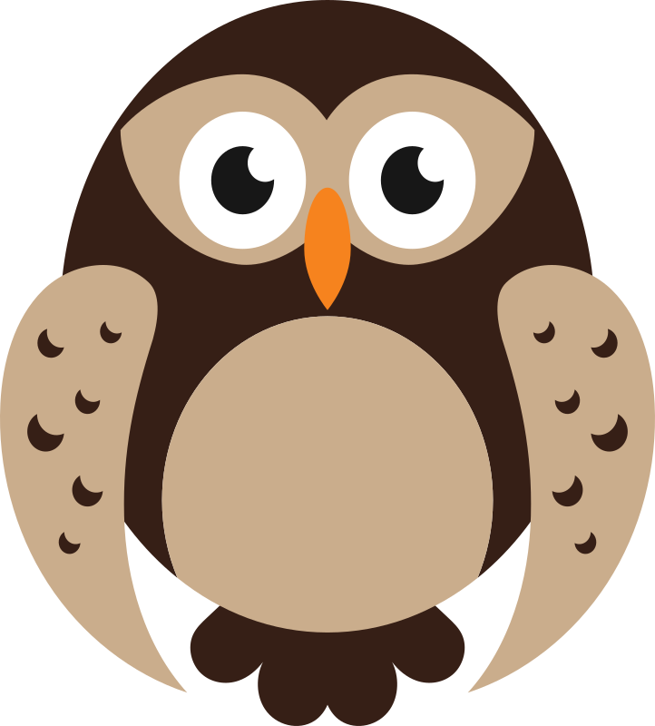 Owl 1