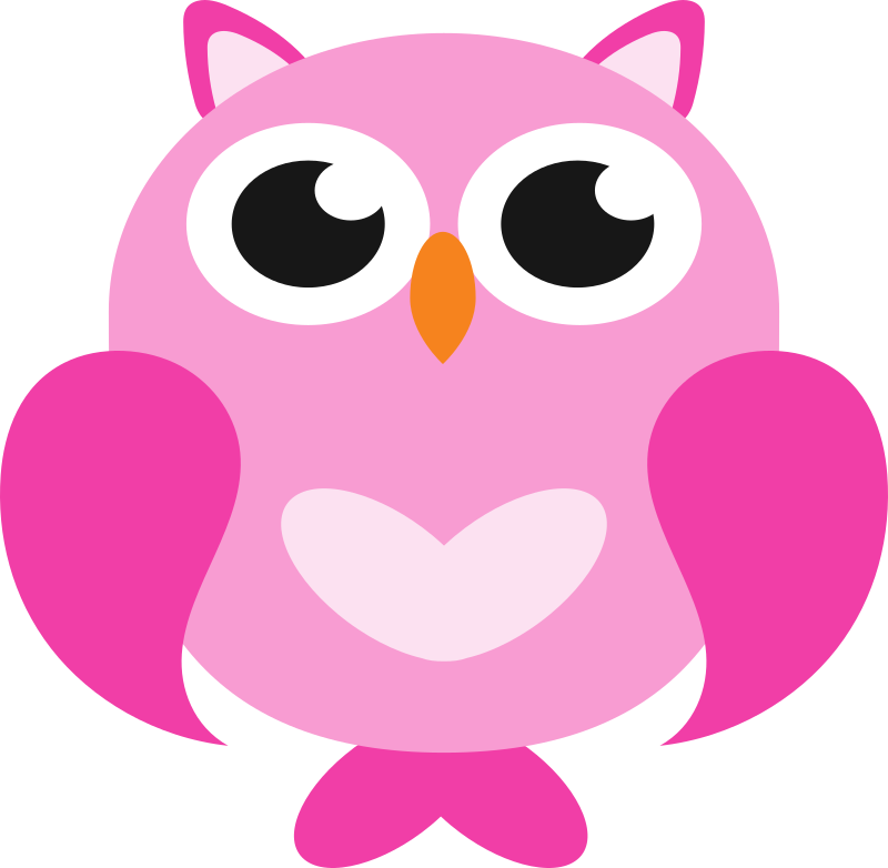 Owl 3