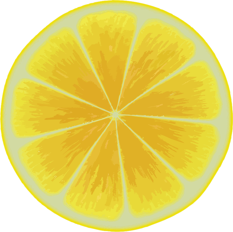 Lemon slice 3