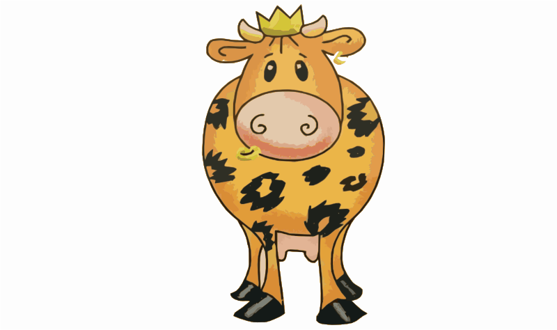King cow 