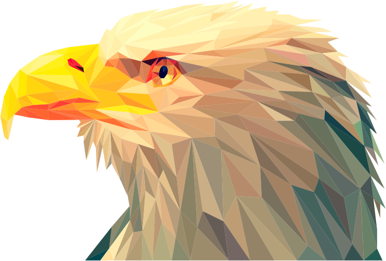 Low Poly Bald Eagle