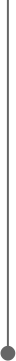 grey line and dot