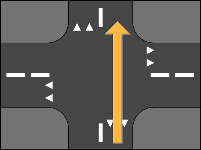 Road Crossing Straight Ahead