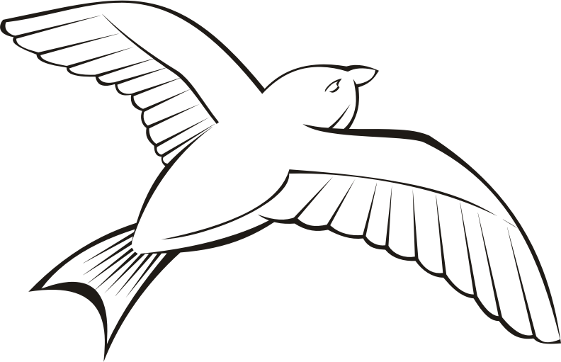 Bird in flight 6 (outline)