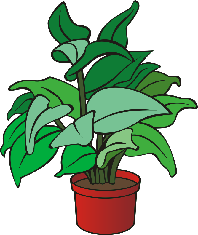 Potted plant 11