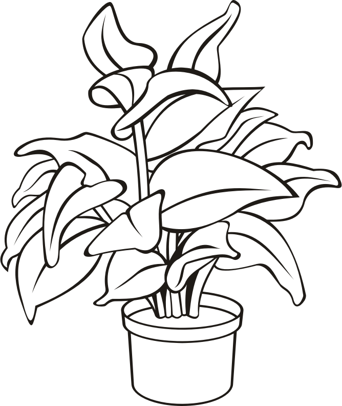 Potted plant 11 (outline)