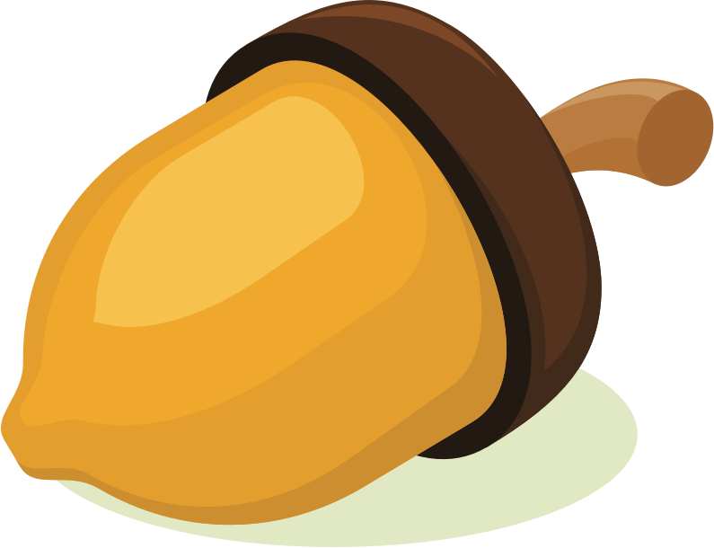 Acorn