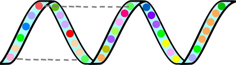 protein secundary structure