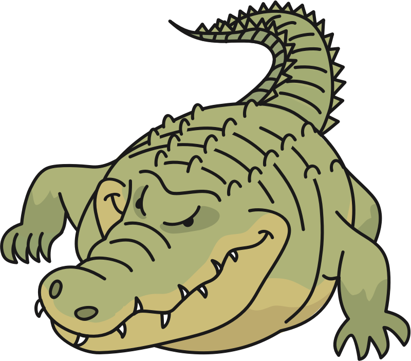 Crocodile