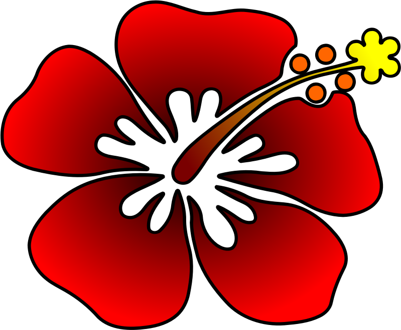 flower simplificado
