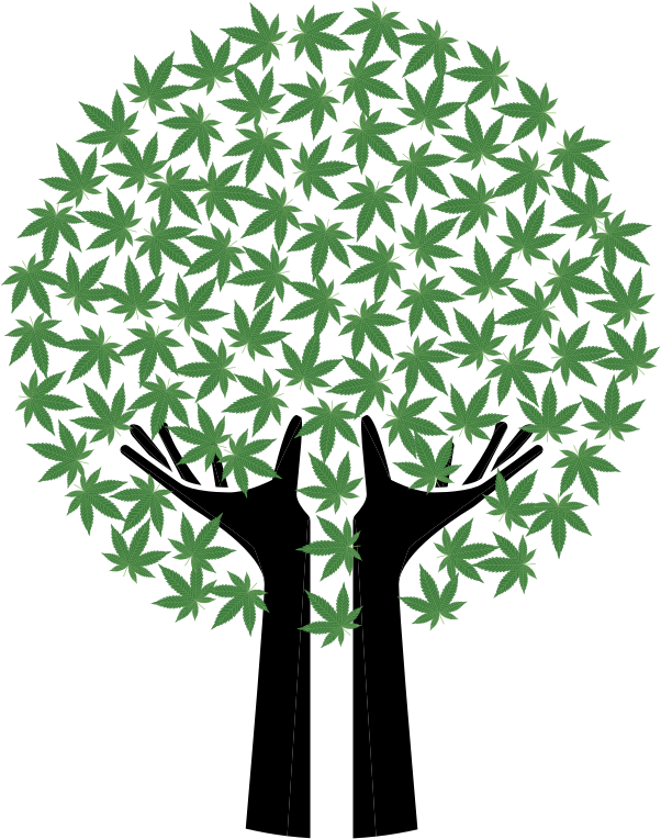 Hands Tree Marijuana