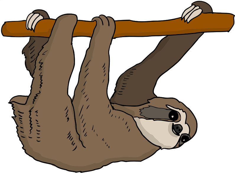 Sloth