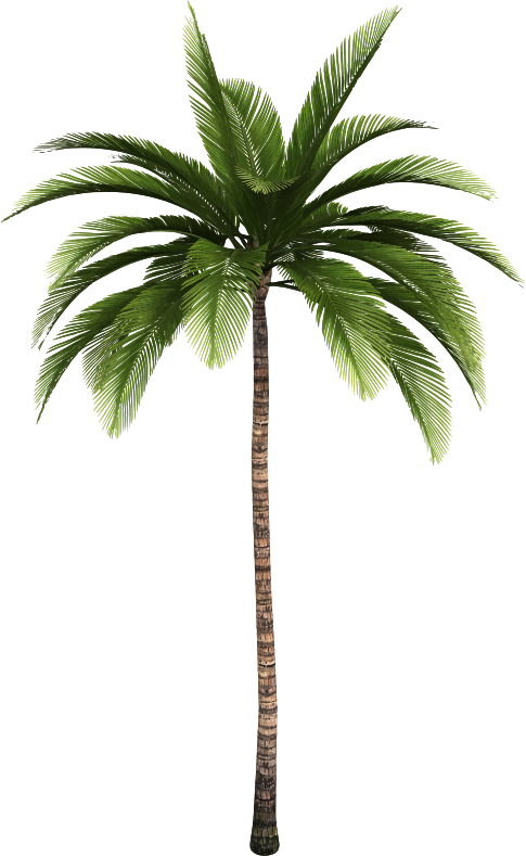 Palm tree 8 - Openclipart