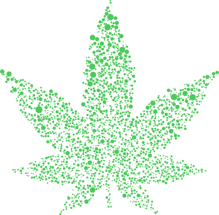 Circular Marijuana Leaf II