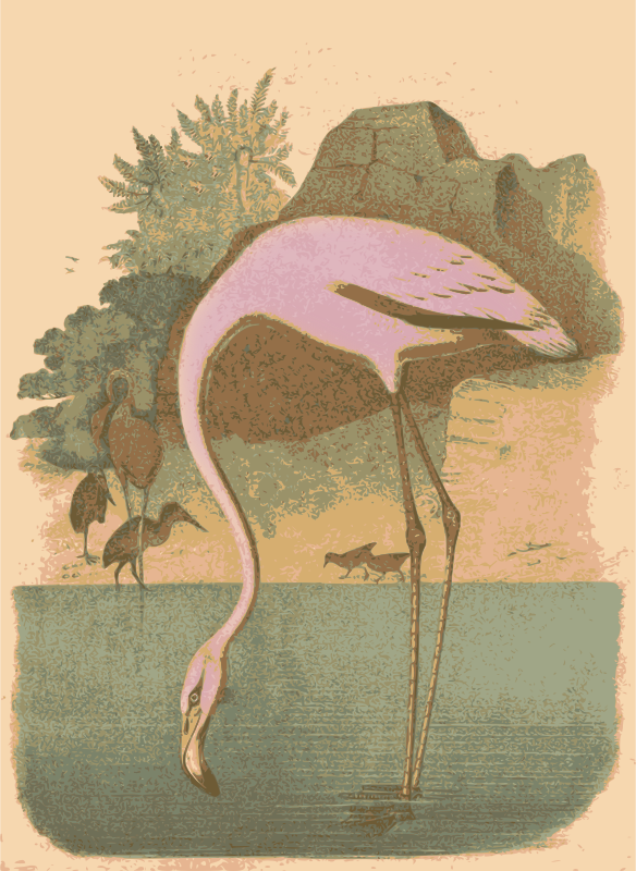 Retro Flamingo