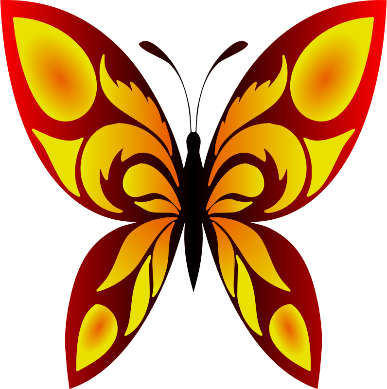 Butterfly 34