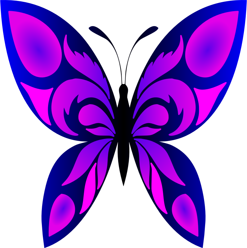 Butterfly 34 (colour 2)