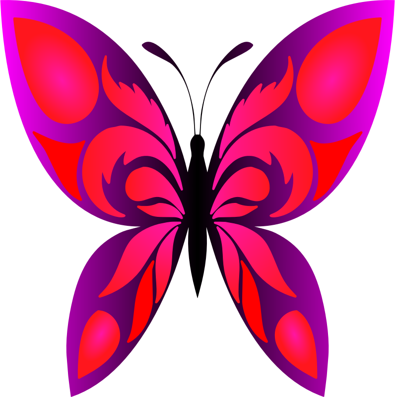 Butterfly 34 (colour 4)